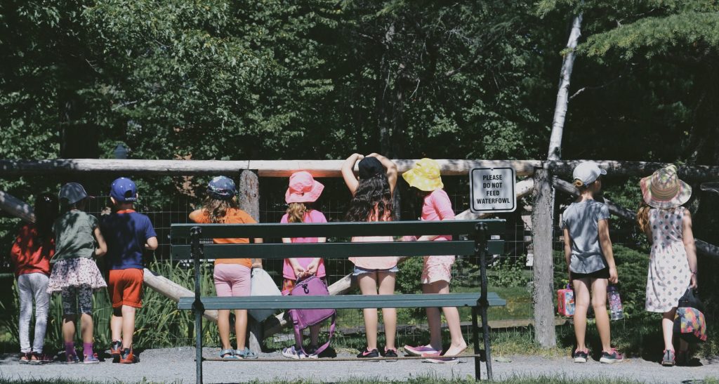 kids at summer camp looking past fence